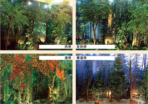 圖片關鍵詞 圖片關鍵詞