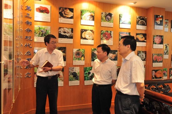 圖片關鍵詞 圖片關鍵詞