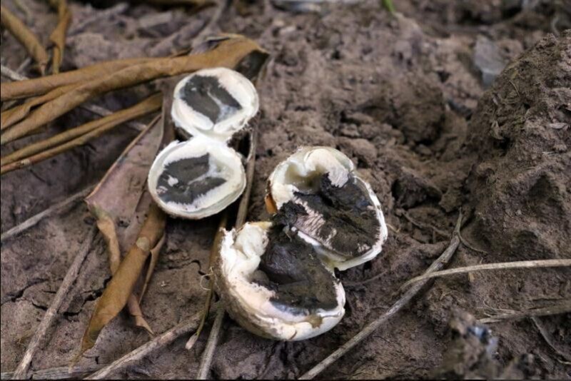 圖片關(guān)鍵詞 圖片關(guān)鍵詞