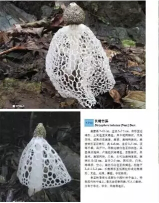 圖片關鍵詞 圖片關鍵詞