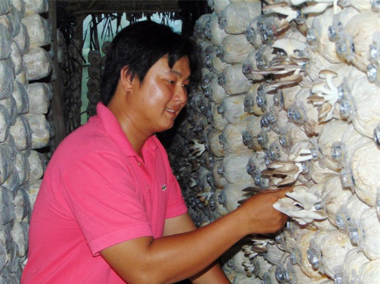 圖片關鍵詞 圖片關鍵詞