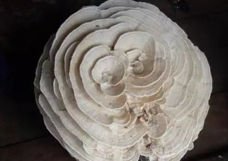 圖片關鍵詞 圖片關鍵詞