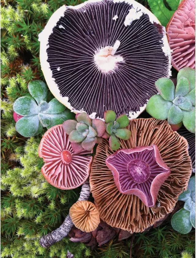 圖片關(guān)鍵詞 圖片關(guān)鍵詞