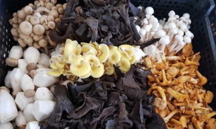 圖片關鍵詞 圖片關鍵詞