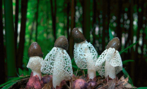 圖片關鍵詞 http://m.daeyaindustry.com/ewebeditor/uploadfile/20180828110329835001.png