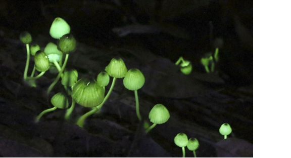 圖片關鍵詞 圖片關鍵詞