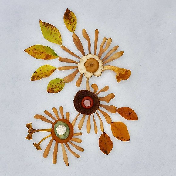 圖片關(guān)鍵詞 http://img2.jiemian.com/jiemian/original/20171123/151141498671387900_a580xH.jpg