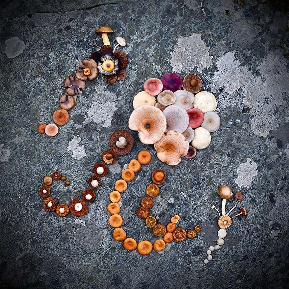 圖片關(guān)鍵詞 http://img3.jiemian.com/jiemian/original/20171123/151141528193117600_a580xH.jpg