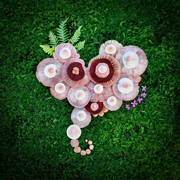 圖片關(guān)鍵詞 http://img1.jiemian.com/jiemian/original/20171123/151141535945904800_a580xH.jpg