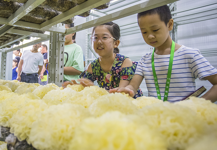 圖片關鍵詞 圖片關鍵詞