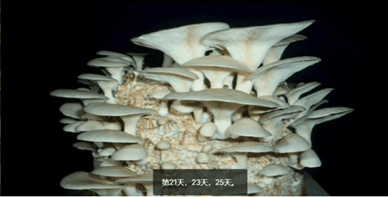 圖片關鍵詞 圖片關鍵詞