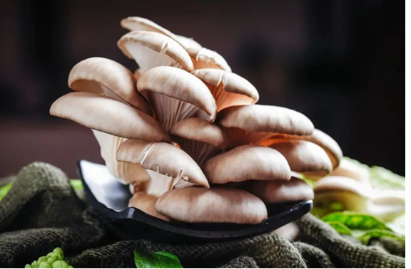 圖片關(guān)鍵詞 圖片關(guān)鍵詞