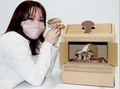 圖片關鍵詞 圖片關鍵詞