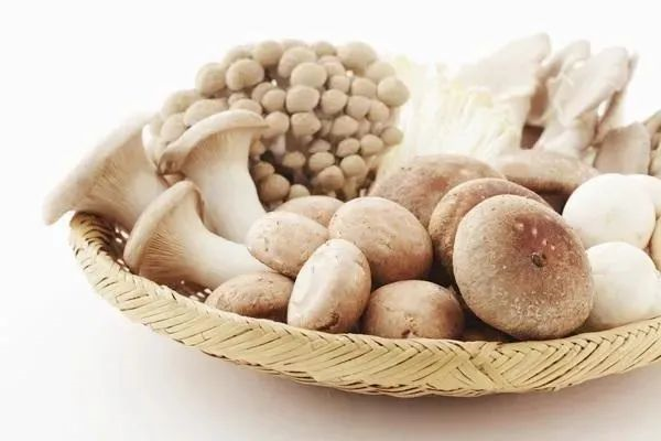 圖片關(guān)鍵詞 圖片關(guān)鍵詞