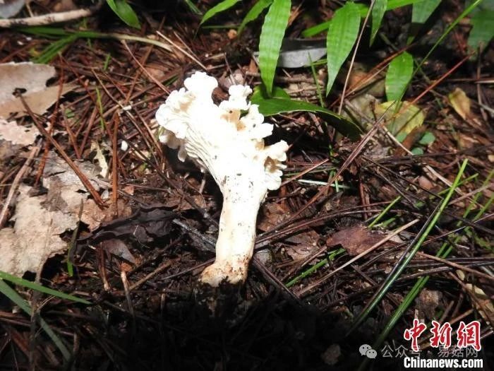 圖片關鍵詞 圖片關鍵詞