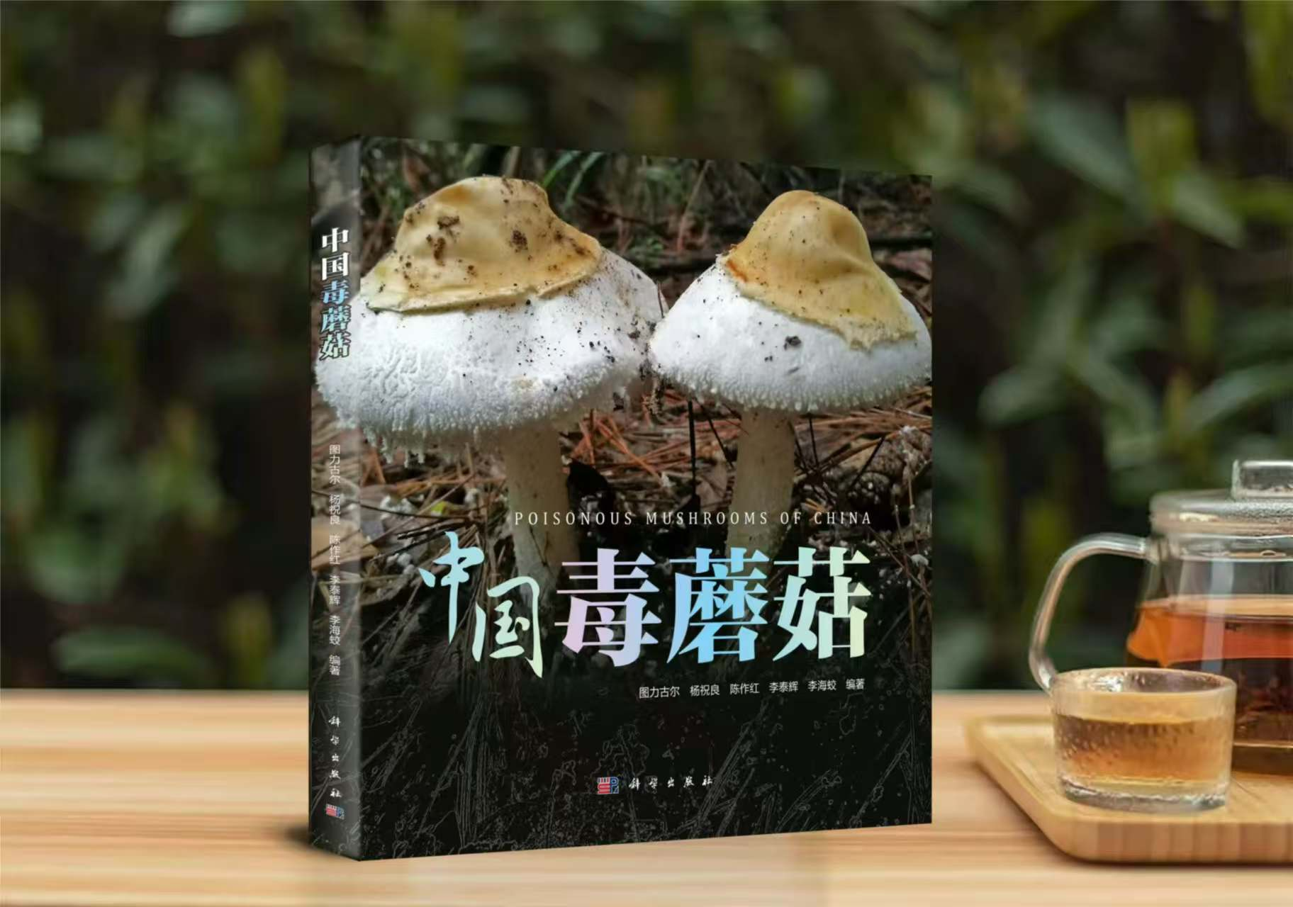 圖片關鍵詞 圖片關鍵詞