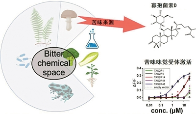 圖片關鍵詞 圖片關鍵詞