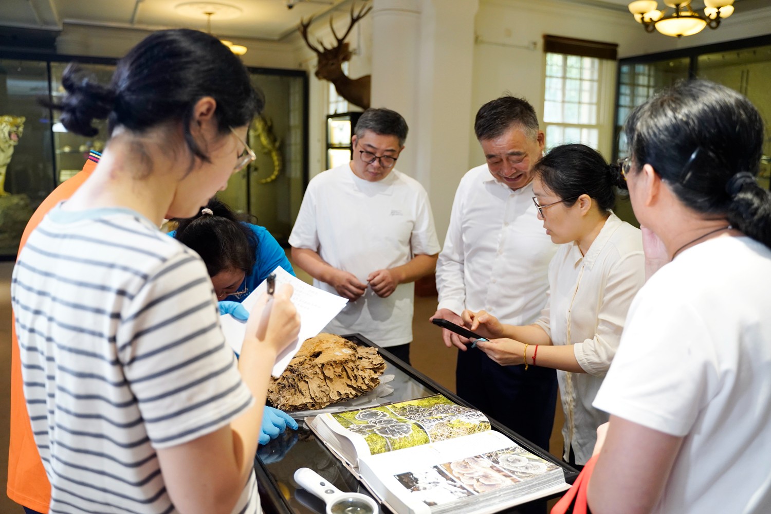 圖片關鍵詞 圖片關鍵詞